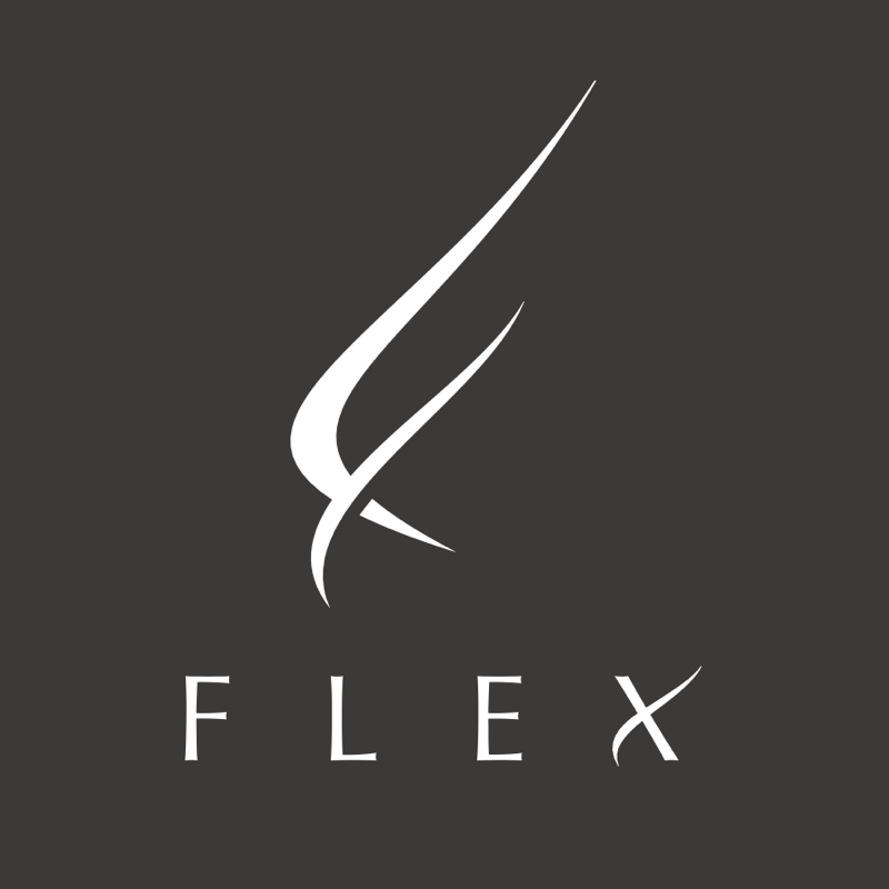 FLEX（フレックス） ロゴ